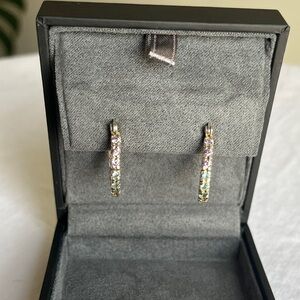 Sterling silver rainbow hoops